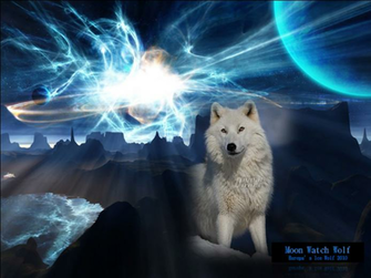 Zia Wolf Sun Moon Watch