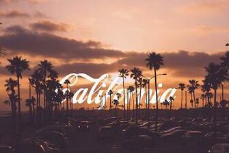Summer Landscape California Palm Trees Sunset Coca Cola Newport