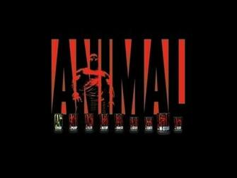 Animal Wallpaper