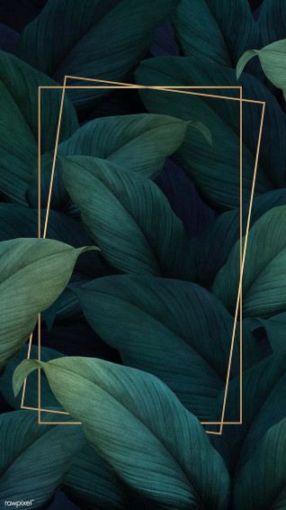 Aesthetic Palm Leaves Wallpaper