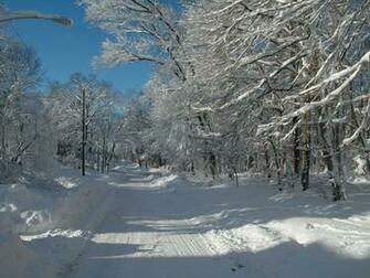 Winter Snow Scene Wallpaper High Definition