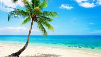 Strand 4k Ultra HD Wallpaper Background Image Id