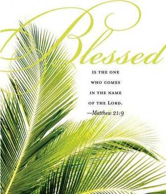 Sunday Quotes Happy Palm Wallpaper
