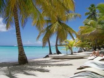 Fond D Cran Punta Cana Republique Dominicaine Wallpaper Plage