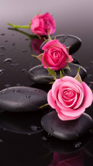 Flower Mobile Wallpaper