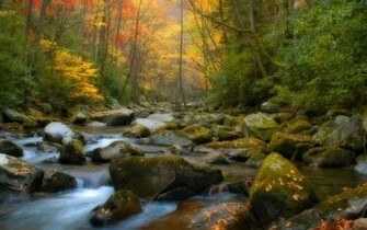 HD Wallpaper Screensaver Screensavers Natural Background Nature By