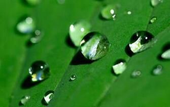 Water Droplets Background