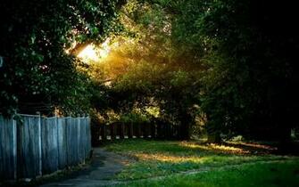 Best Nature Wallpaper Collection Ever For Dekstop