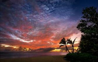 Wallpaper Sunset Palm Trees The Ocean Coast Rarotonga Cook