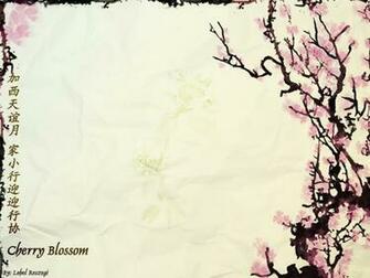 Wallpaper Sea Cherry Blossom Background