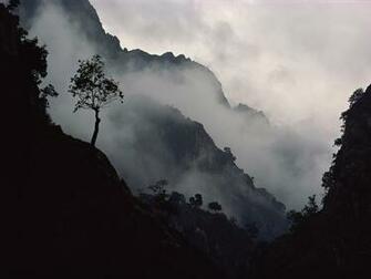 Misty Mountains Wallpaper Self Actualized Mountain