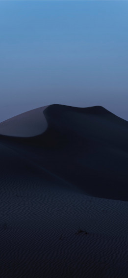 Desert Dusk iPhone X Wallpaper