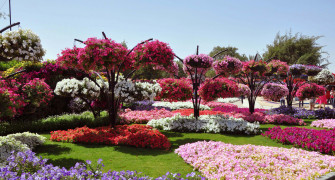 Most Beautiful Garden Wallpaper On