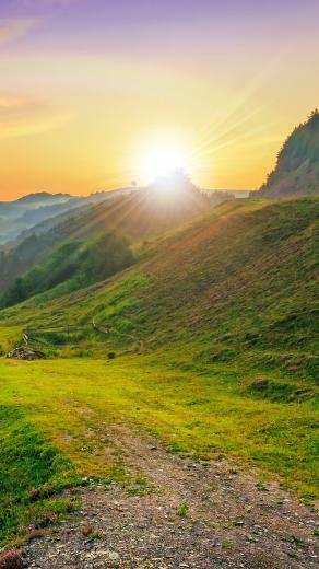Sunshine Android Wallpaper