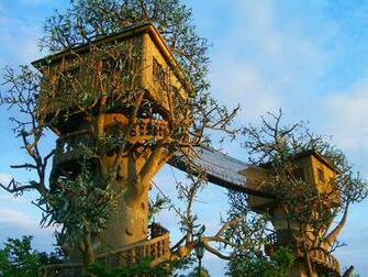 Cool Tree House Desktop Wallpaper