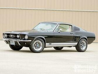 Mustang Wallpaper