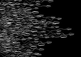 Sperm Abstraction Abstract Bokeh Life Sex Sexual Medical