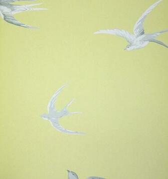 Swallow Wallpaper Modern FHDq Photos