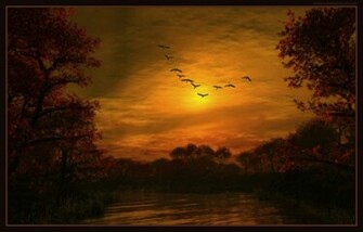 Geese Wallpaper