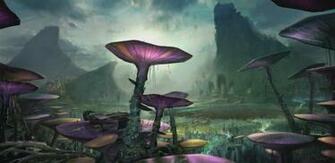 Image Felucia Dawn Jpg Wookieepedia Fandom Powered By Wikia