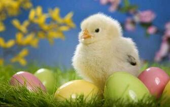 Sara In Italy Happy Easter And Buona Pasqua