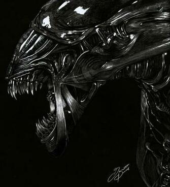 Alien Queen Wallpaper By 90sketch90