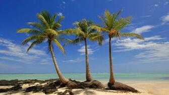 Palms Isl Madagascar Nature Background Wallpaper HD