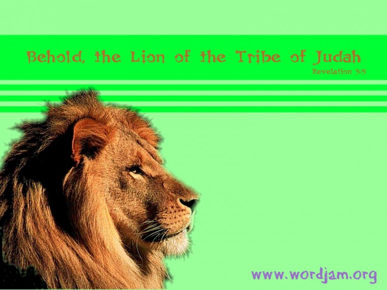Lion Of Judah Wallpaper