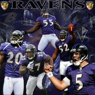 Wallpaper Ed Reed Terrell Suggs Ray Lewis