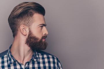 Beard HD Wallpaper Background Image