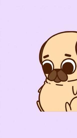 Best Image About Pugs