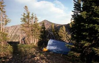 Yellowstone Digital Slide File
