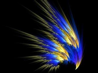 Wallpaper Feather The Colorful