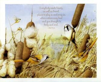 For The Home Art Marjolein Bastin