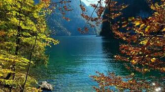 Image Germany Konigsee Nature Autumn Lake Stone Branches