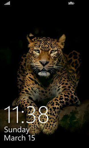 HD Wallpaper For All Windows Phones Who Doesn T Love