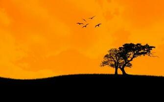 Sunset Trees Birds Wallpaper Anime Background Photo