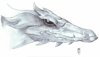 Photos Dragon Head Drawings Wallpaper Hq Background HD