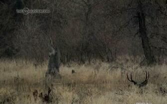 A Do It Yourself Hunter S Hunting And Shooting Journal