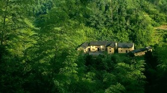 Amazing Home In Green Forest Wallpaper HD