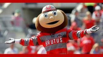 Brutus Buckeye Vector Logo Memes Trending Space