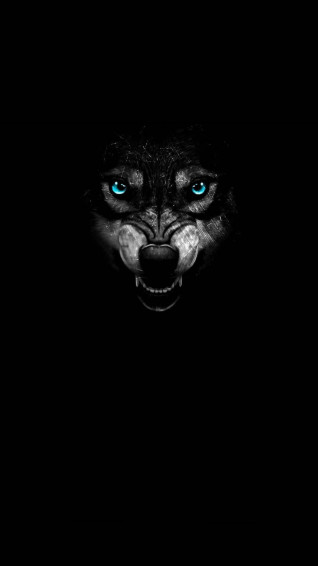 Wolf Wallpaper HD For Mobile