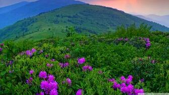 Green Mountains Wallpaper