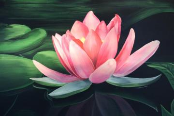 Flower HD Wallpaper Image Pictures Tattoos And Desktop
