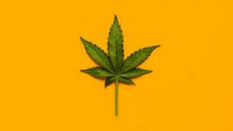 Illinois House Sends Marijuana Bill To Governor Axios