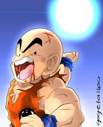 Krillin Wallpaper