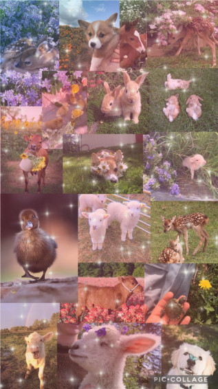 Cute Baby Animal Aesthetic Collage Wallpaper