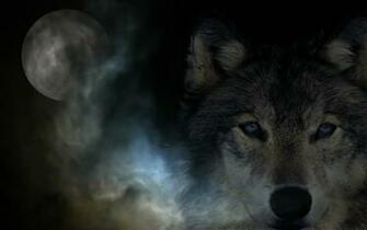 Darkwolf Computer Wallpaper Desktop Background Id