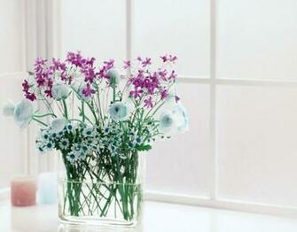 Vase Of Flowers Wallpaper Beautiful