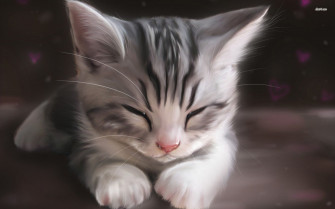Anime Cats Wallpaper